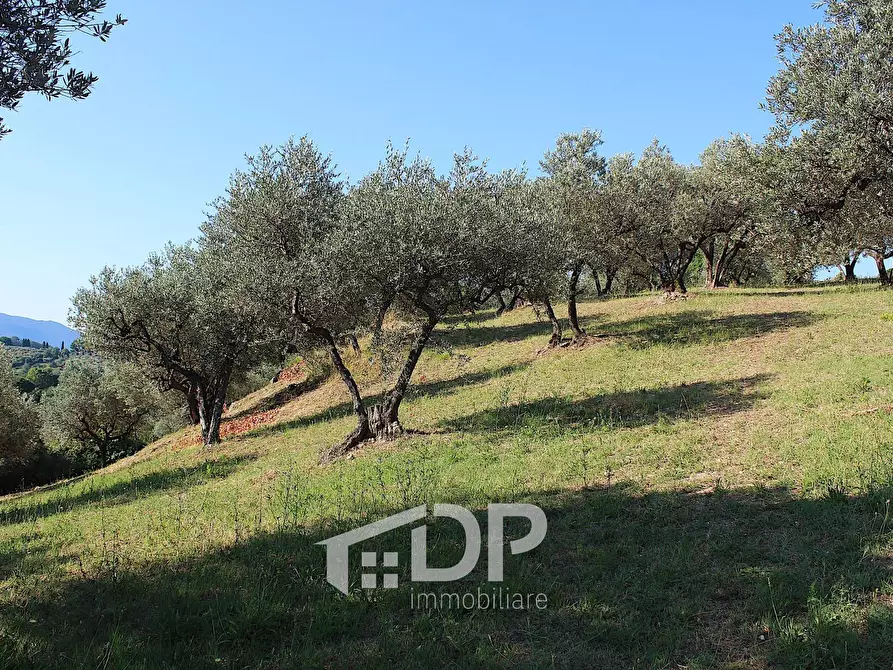 Immagine 24 di Terreno residenziale in vendita  in Strada dei Colli snc a Palombara Sabina