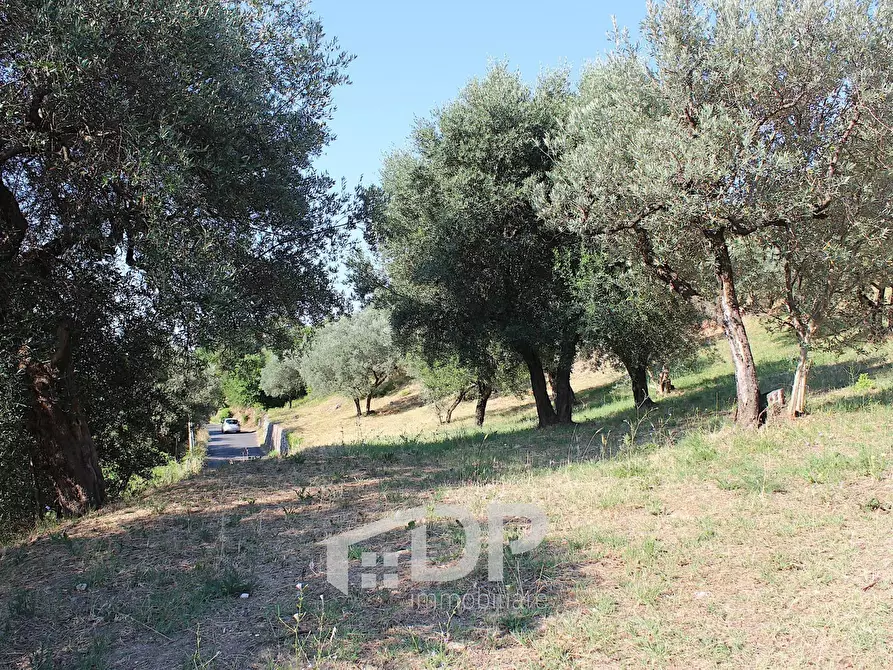 Immagine 23 di Terreno residenziale in vendita  in Strada dei Colli snc a Palombara Sabina