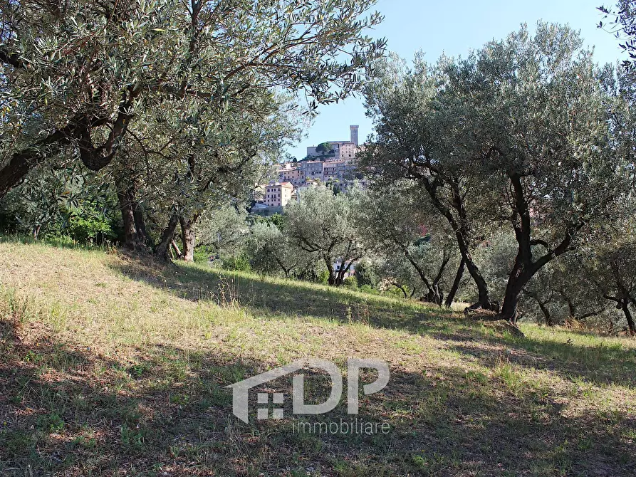 Immagine 30 di Terreno residenziale in vendita  in Strada dei Colli snc a Palombara Sabina