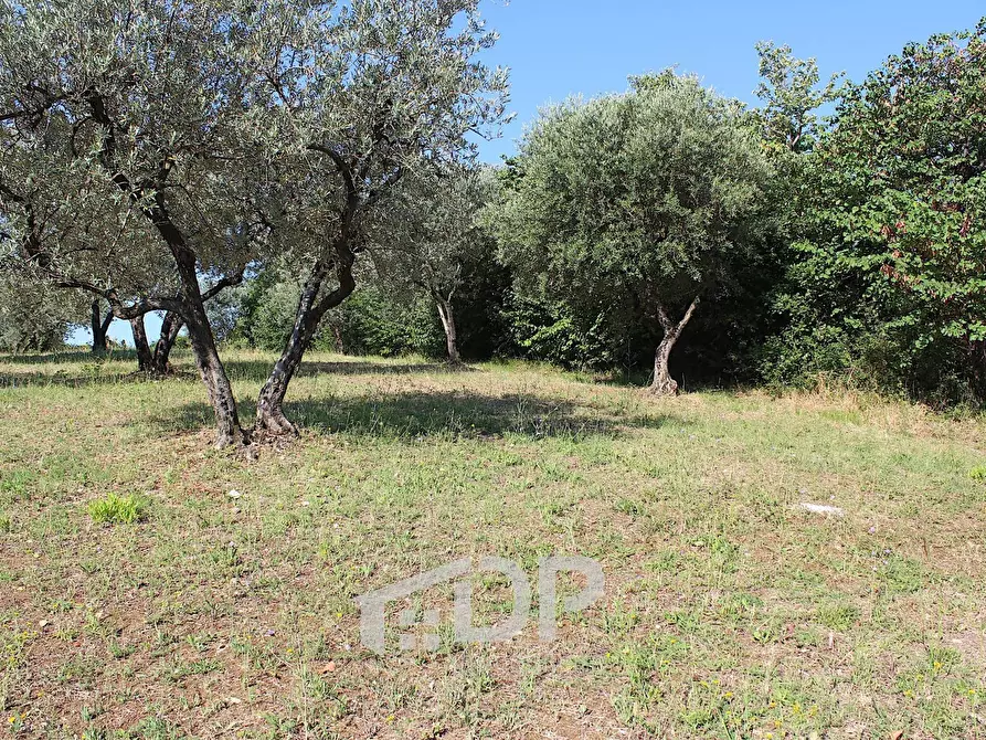 Immagine 25 di Terreno residenziale in vendita  in Strada dei Colli snc a Palombara Sabina