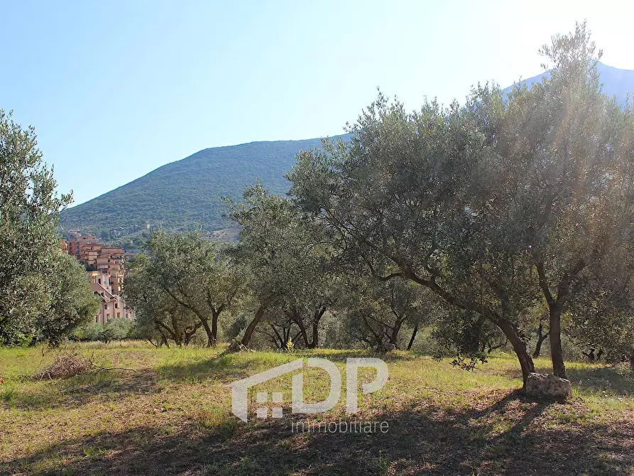Immagine 28 di Terreno residenziale in vendita  in Strada dei Colli snc a Palombara Sabina