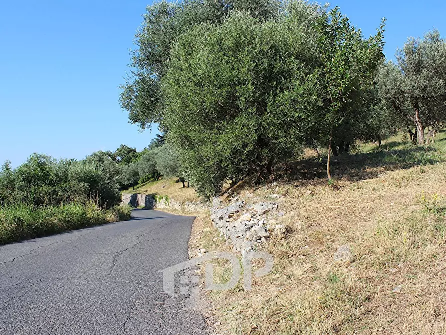 Immagine 22 di Terreno residenziale in vendita  in Strada dei Colli snc a Palombara Sabina