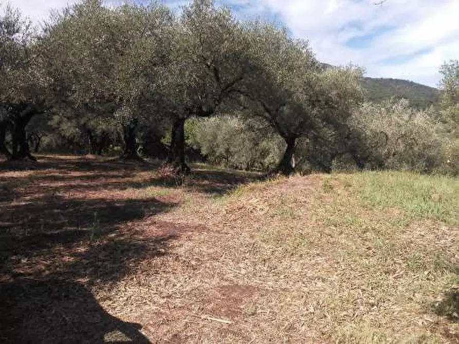 Immagine 1 di Terreno agricolo in vendita  in via Colle San Francesco a Guidonia Montecelio