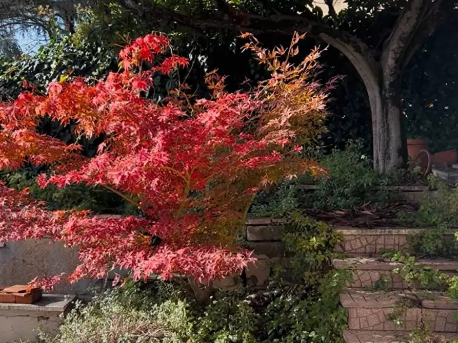 Immagine 17 di Villa in vendita  in VIA OGLIO a Guidonia Montecelio