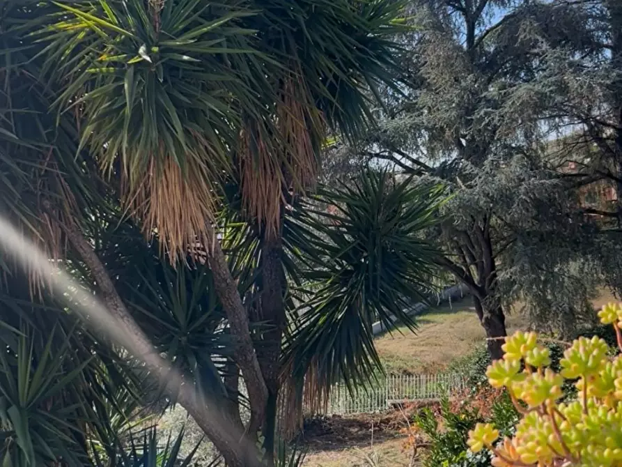 Immagine 20 di Villa in vendita  in VIA OGLIO a Guidonia Montecelio