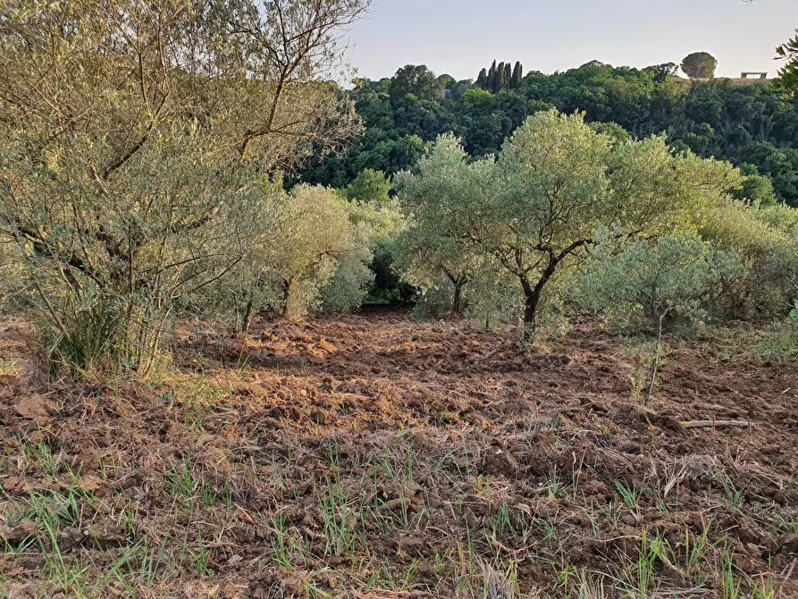 Immagine 6 di Terreno agricolo in vendita  in VIA SAUCCIA a Casape