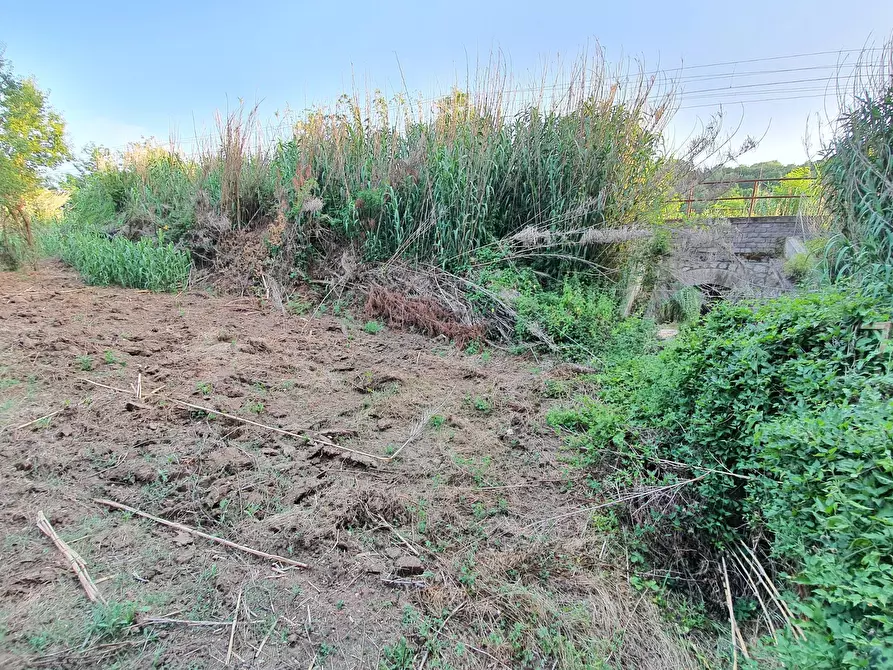 Immagine 55 di Terreno agricolo in vendita  in VIA SAUCCIA a Casape