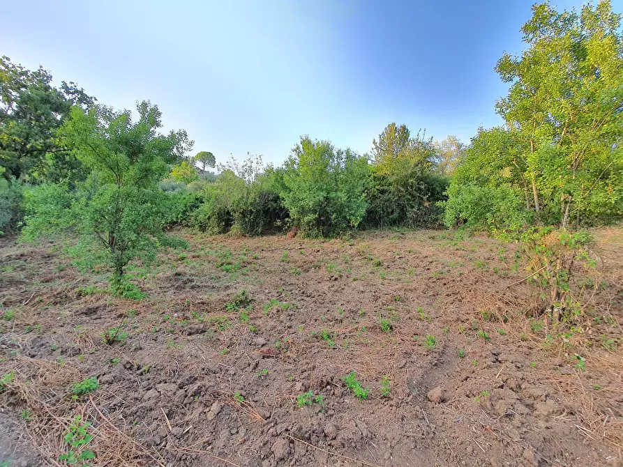 Immagine 25 di Terreno agricolo in vendita  in VIA SAUCCIA a Casape