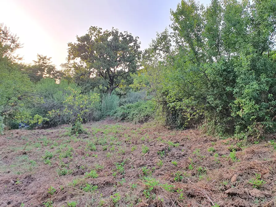 Immagine 34 di Terreno agricolo in vendita  in VIA SAUCCIA a Casape