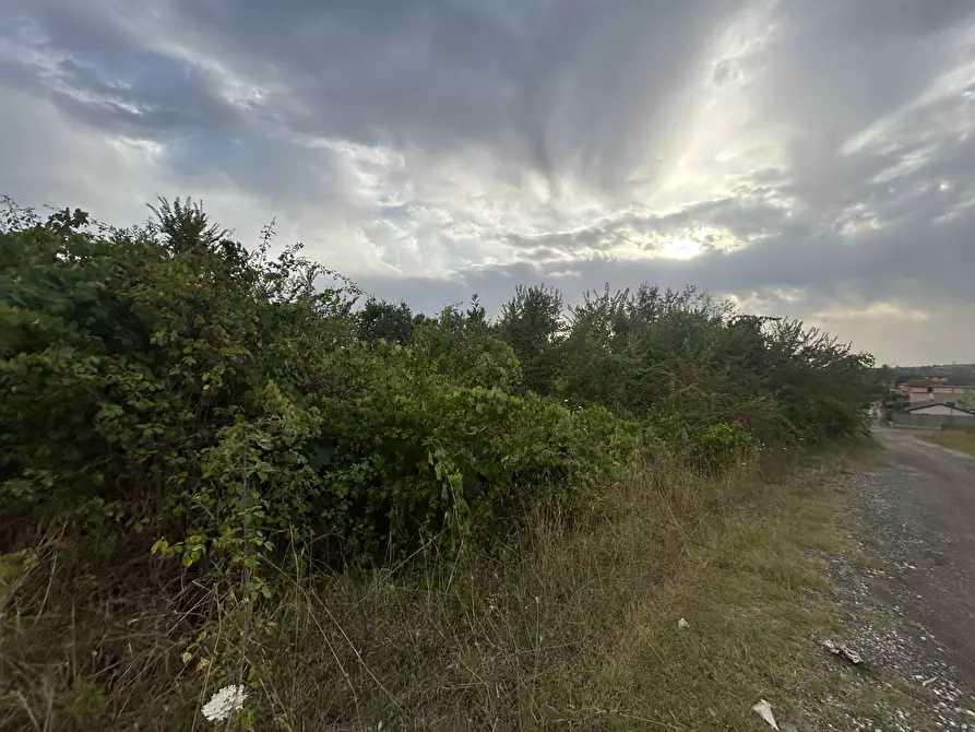 Immagine 5 di Terreno residenziale in vendita  in via colle dei pini a Guidonia Montecelio