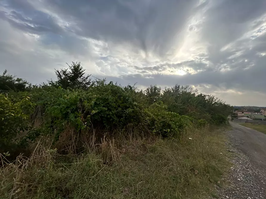 Immagine 15 di Terreno residenziale in vendita  in via colle dei pini a Guidonia Montecelio