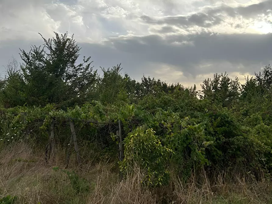 Immagine 11 di Terreno residenziale in vendita  in via colle dei pini a Guidonia Montecelio