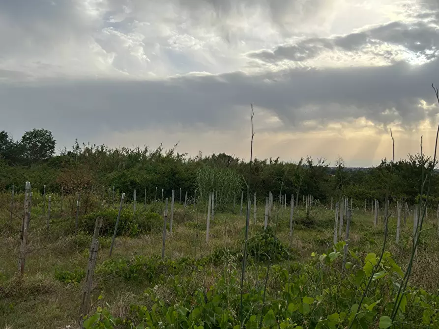 Immagine 3 di Terreno residenziale in vendita  in via colle dei pini a Guidonia Montecelio