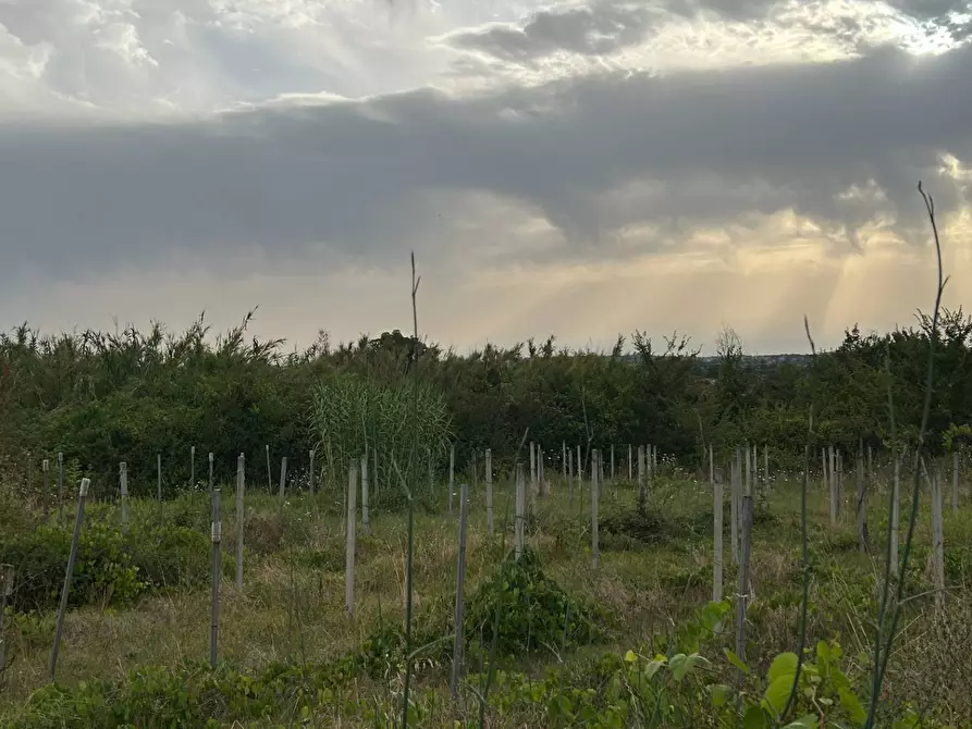 Immagine 9 di Terreno residenziale in vendita  in via colle dei pini a Guidonia Montecelio