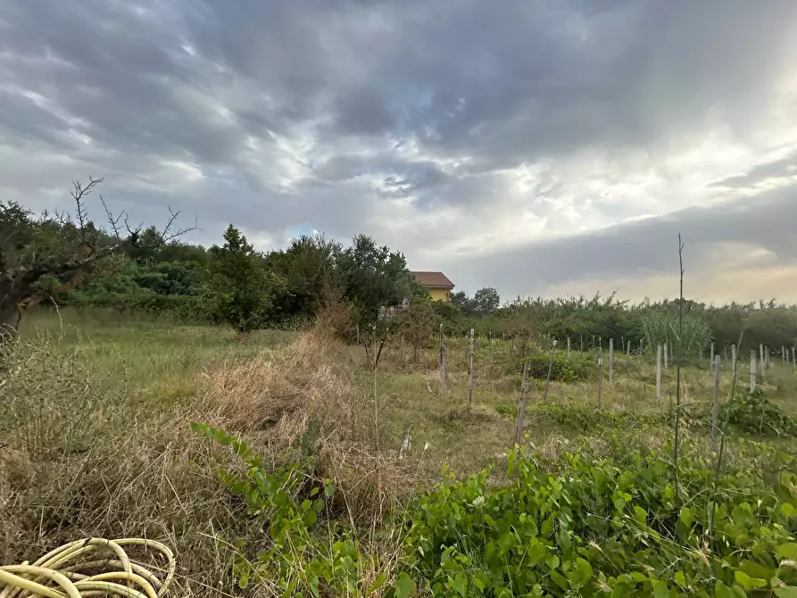 Immagine 8 di Terreno residenziale in vendita  in via colle dei pini a Guidonia Montecelio