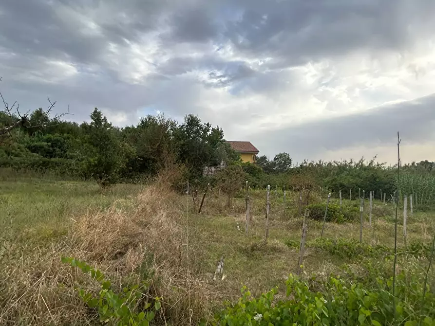 Immagine 10 di Terreno residenziale in vendita  in via colle dei pini a Guidonia Montecelio