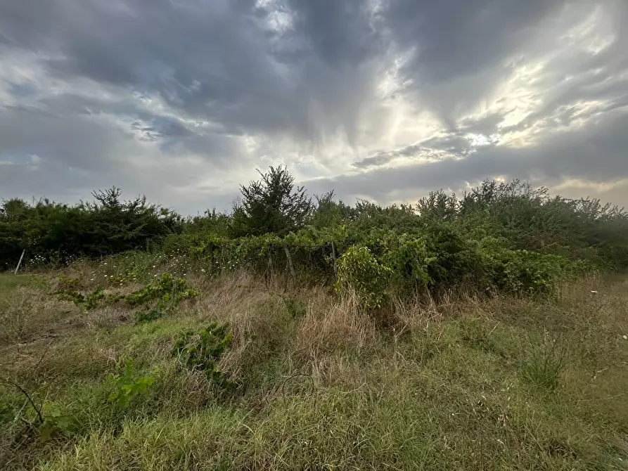 Immagine 17 di Terreno residenziale in vendita  in via colle dei pini a Guidonia Montecelio