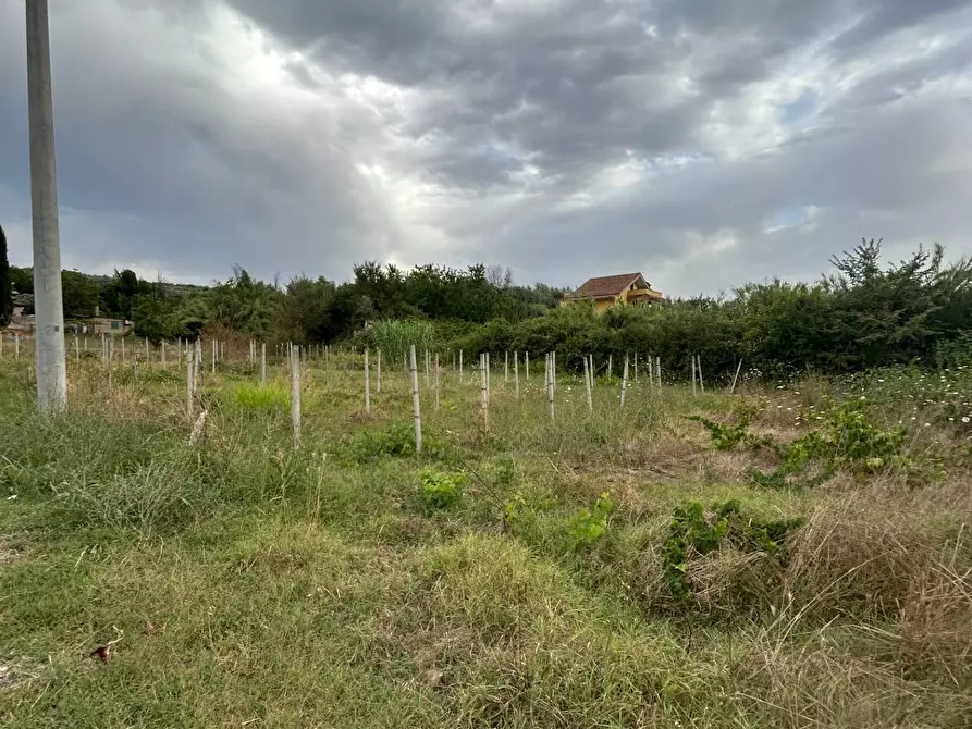 Immagine 16 di Terreno residenziale in vendita  in via colle dei pini a Guidonia Montecelio