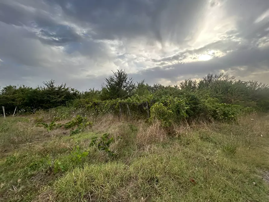 Immagine 18 di Terreno residenziale in vendita  in via colle dei pini a Guidonia Montecelio