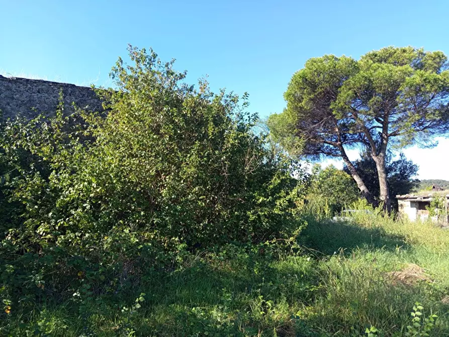 Immagine 4 di Rustico / casale in vendita  in VIA DELLE MOLETTE snc a Sant'angelo Romano