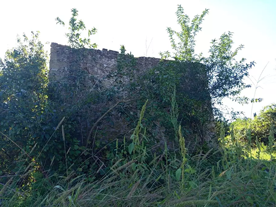 Immagine 8 di Rustico / casale in vendita  in VIA DELLE MOLETTE snc a Sant'angelo Romano