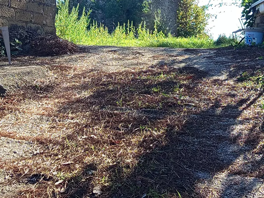 Immagine 11 di Rustico / casale in vendita  in VIA DELLE MOLETTE snc a Sant'angelo Romano
