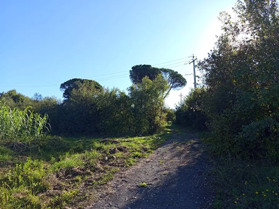 Immagine 13 di Rustico / casale in vendita  in VIA DELLE MOLETTE snc a Sant'angelo Romano