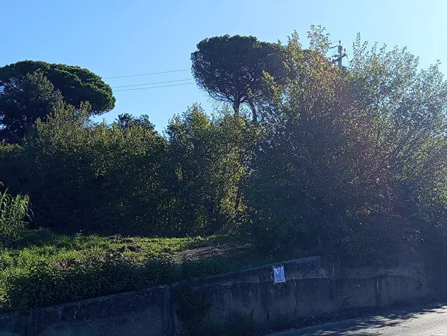 Immagine 14 di Rustico / casale in vendita  in VIA DELLE MOLETTE snc a Sant'angelo Romano