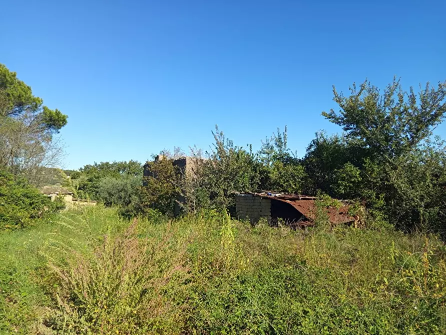 Immagine 15 di Rustico / casale in vendita  in VIA DELLE MOLETTE snc a Sant'angelo Romano