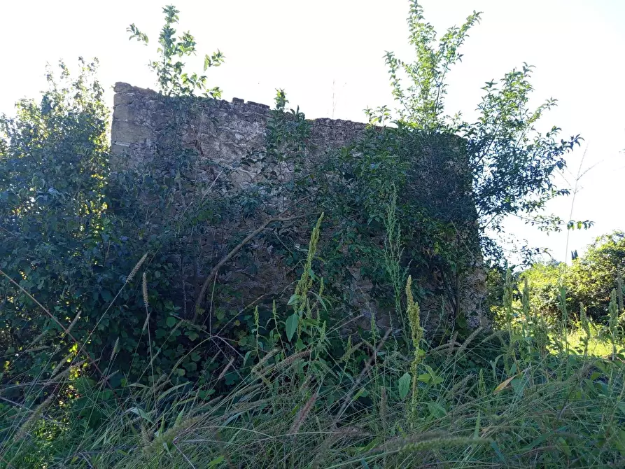 Immagine 18 di Rustico / casale in vendita  in VIA DELLE MOLETTE snc a Sant'angelo Romano