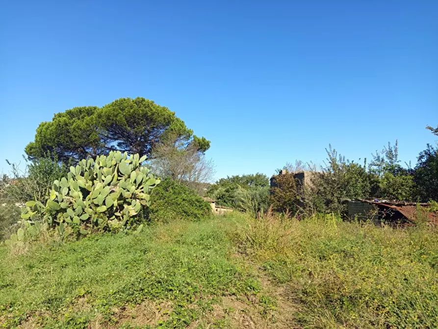 Immagine 27 di Rustico / casale in vendita  in VIA DELLE MOLETTE snc a Sant'angelo Romano