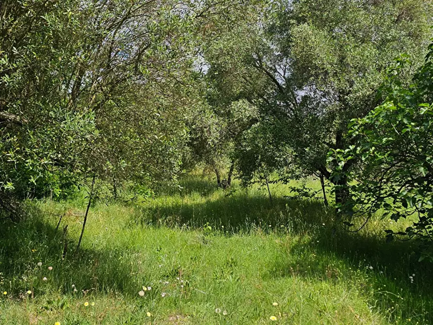 Immagine 17 di Casa indipendente in vendita  in Via Cristoforo Ferrari a Guidonia Montecelio