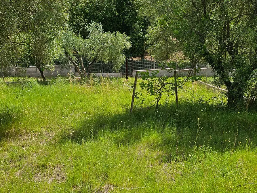 Immagine 15 di Casa indipendente in vendita  in Via Cristoforo Ferrari a Guidonia Montecelio