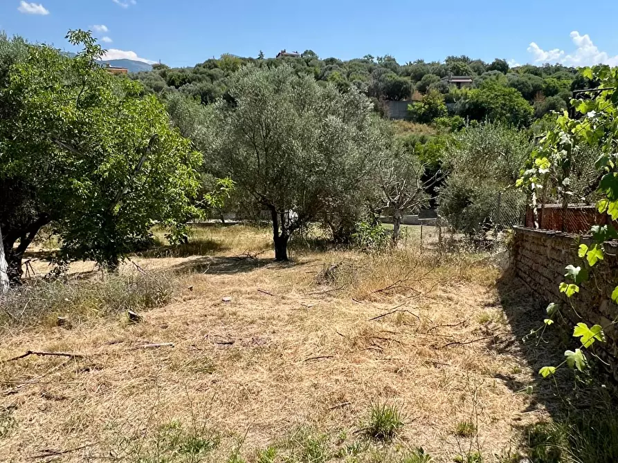 Immagine 51 di Casa indipendente in vendita  in Via Cristoforo Ferrari a Guidonia Montecelio