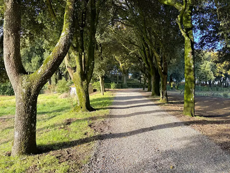 Immagine 3 di Villa in vendita  in VIA PRINCIPE SPADA a Castel Viscardo