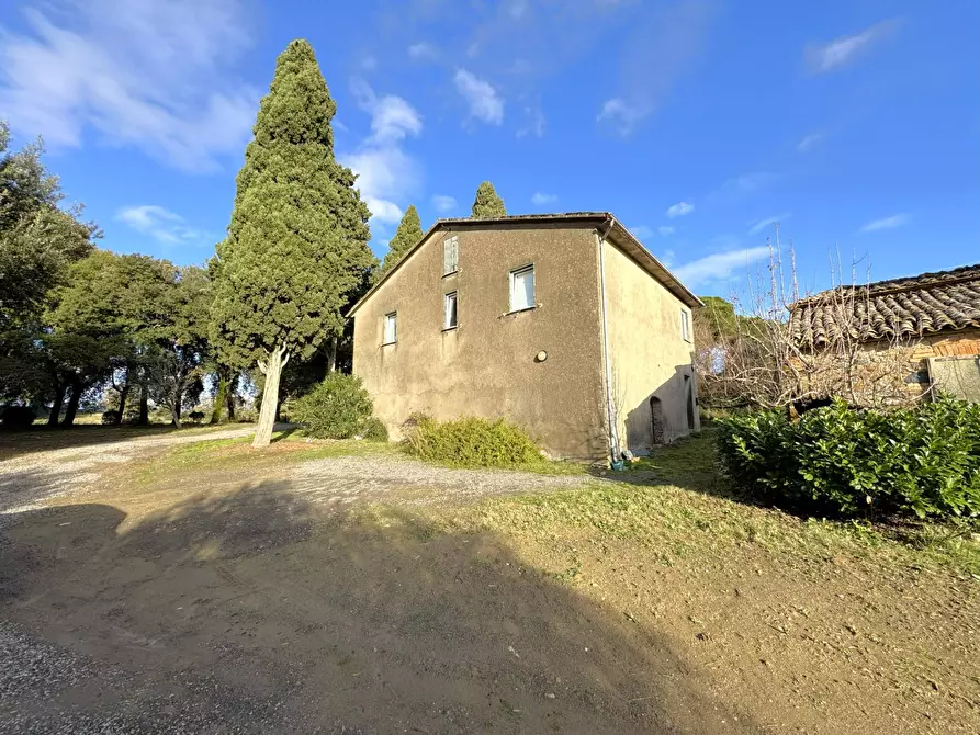 Immagine 11 di Villa in vendita  in VIA PRINCIPE SPADA a Castel Viscardo