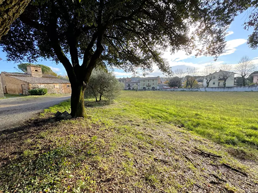 Immagine 12 di Villa in vendita  in VIA PRINCIPE SPADA a Castel Viscardo