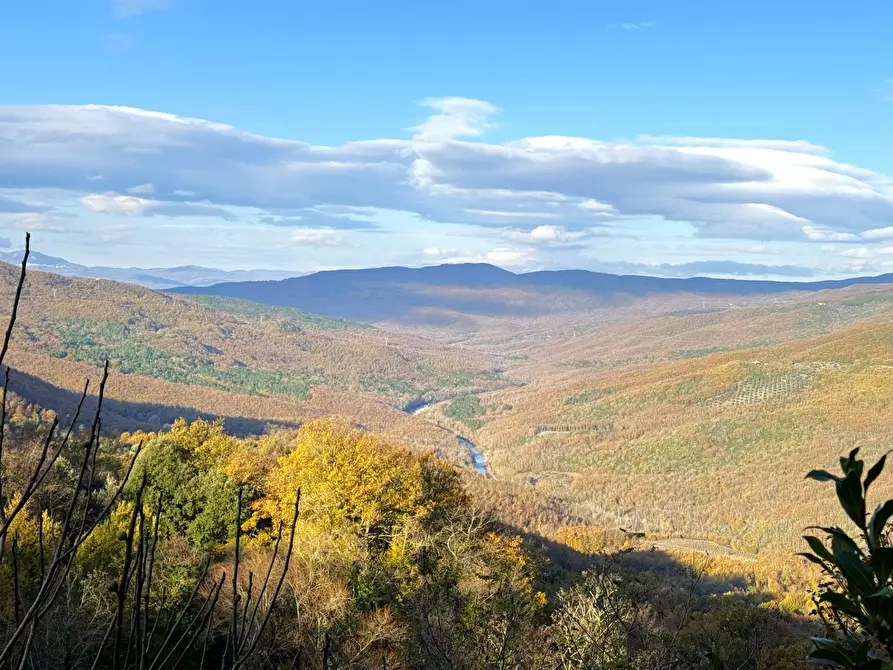 Immagine 25 di Villa in vendita  in VIA PRINCIPE SPADA a Castel Viscardo