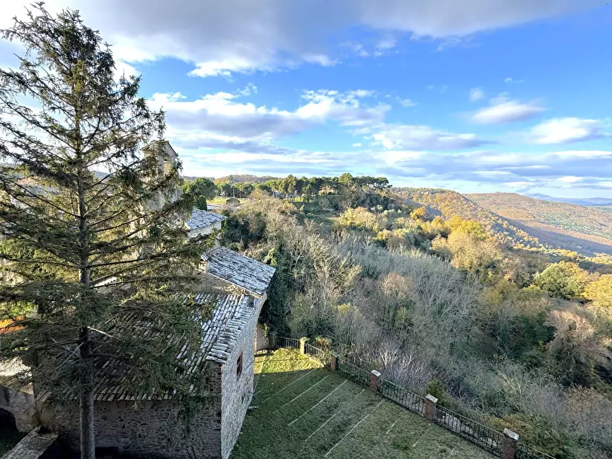 Immagine 35 di Villa in vendita  in VIA PRINCIPE SPADA a Castel Viscardo