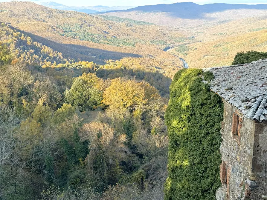Immagine 36 di Villa in vendita  in VIA PRINCIPE SPADA a Castel Viscardo