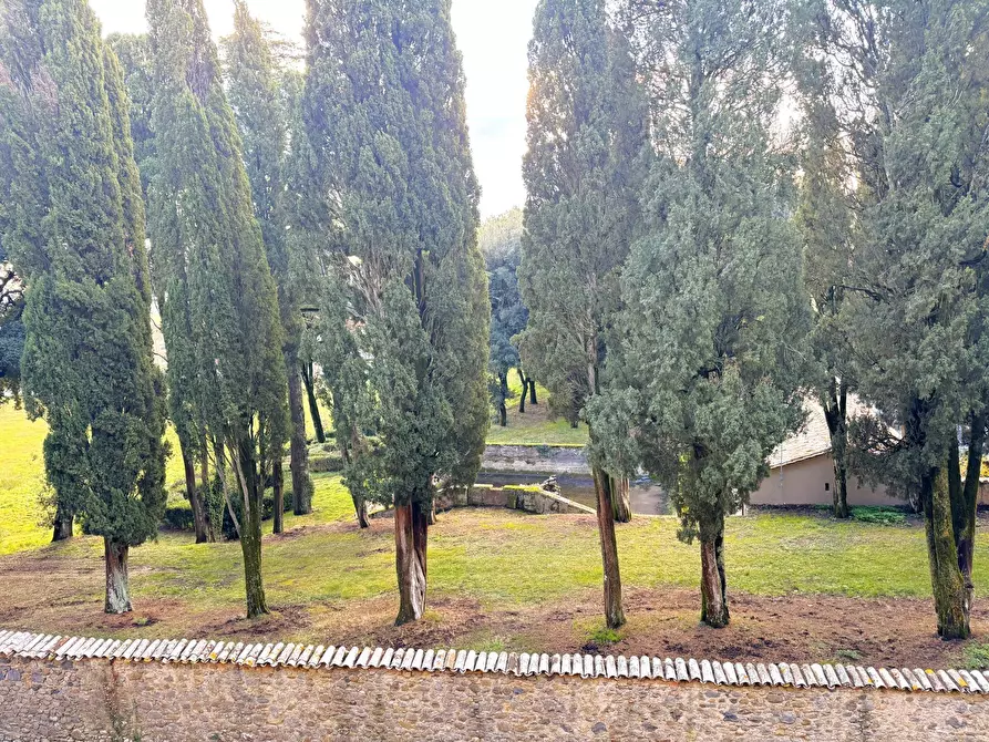 Immagine 53 di Villa in vendita  in VIA PRINCIPE SPADA a Castel Viscardo