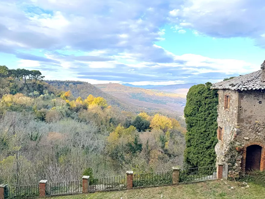 Immagine 56 di Villa in vendita  in VIA PRINCIPE SPADA a Castel Viscardo