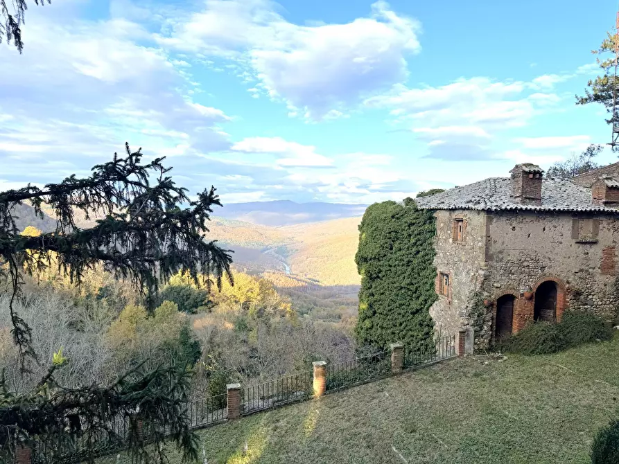 Immagine 60 di Villa in vendita  in VIA PRINCIPE SPADA a Castel Viscardo