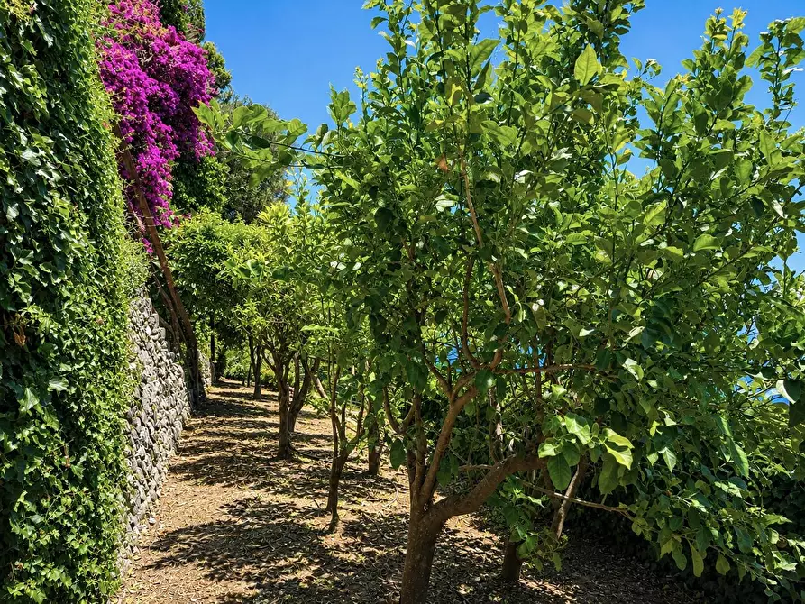 Immagine 79 di Villa in vendita  in Via Roma 50 a Conca Dei Marini