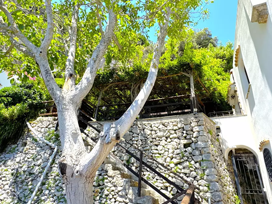 Immagine 80 di Villa in vendita  in Via Roma 50 a Conca Dei Marini