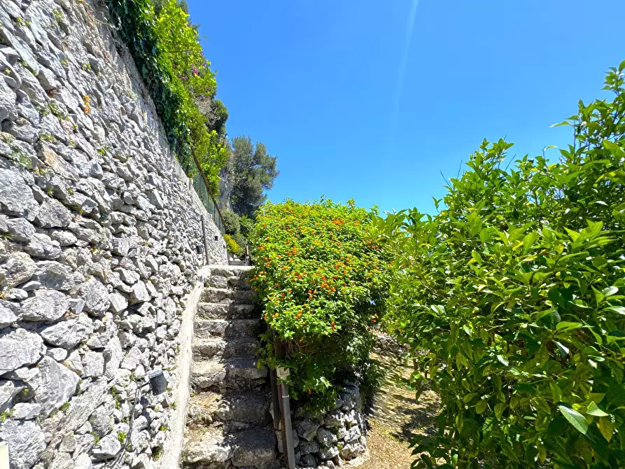 Immagine 81 di Villa in vendita  in Via Roma 50 a Conca Dei Marini
