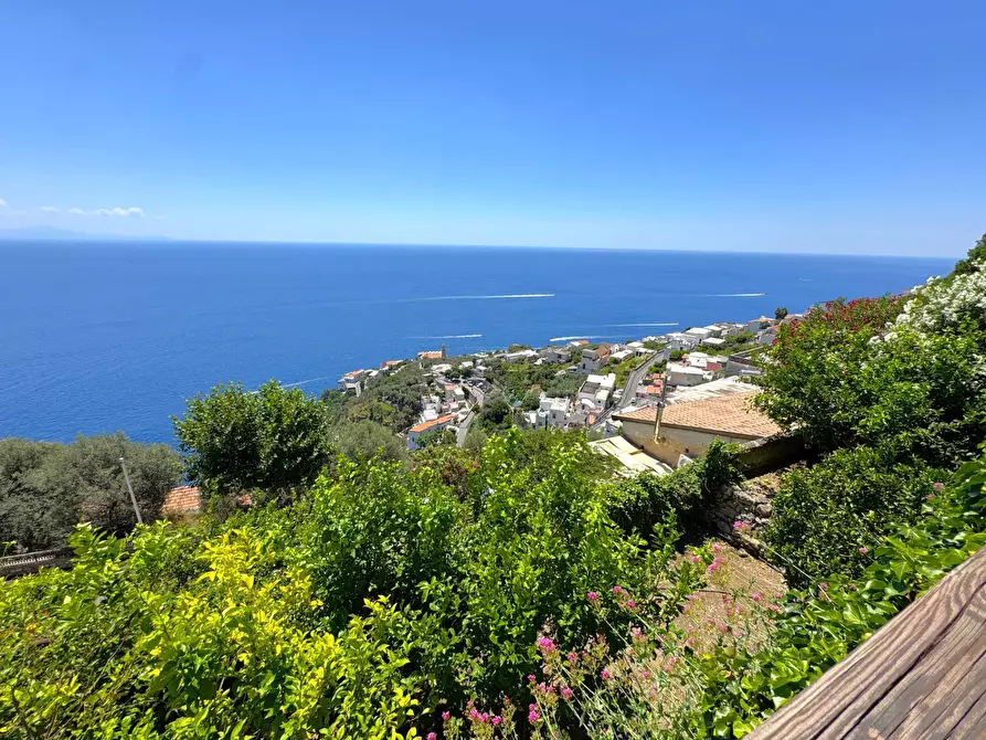 Immagine 82 di Villa in vendita  in Via Roma 50 a Conca Dei Marini