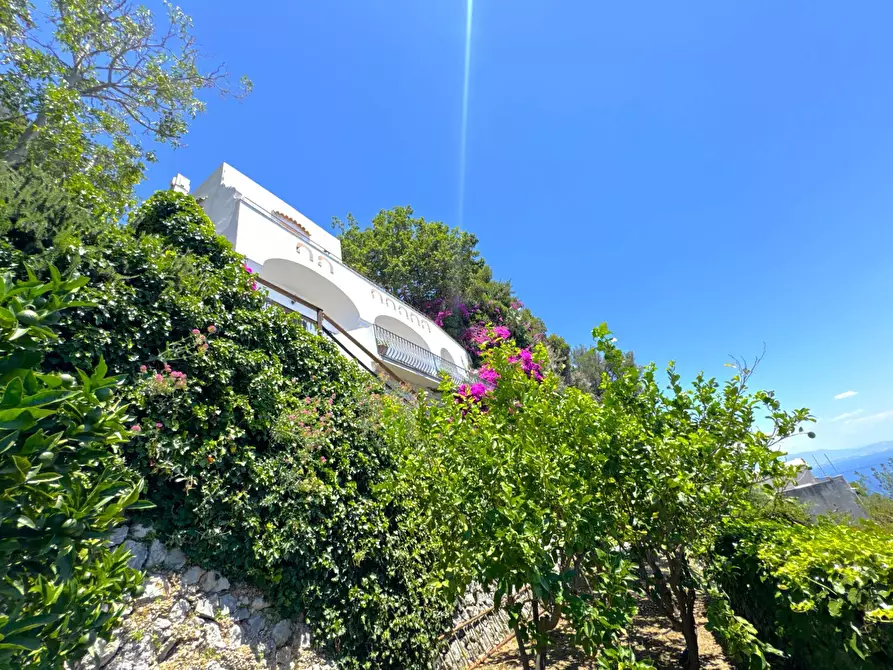 Immagine 88 di Villa in vendita  in Via Roma 50 a Conca Dei Marini