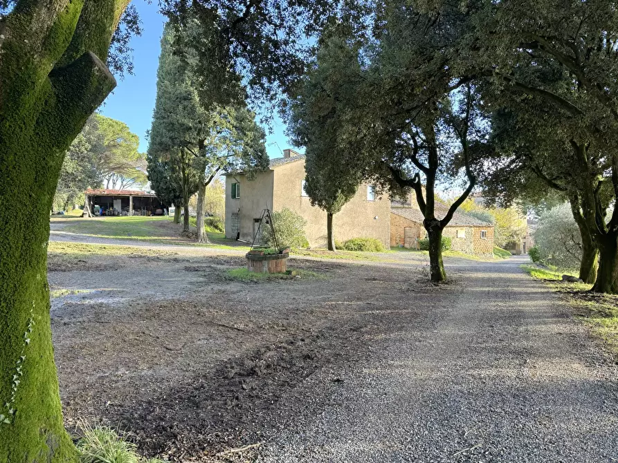 Immagine 4 di Villa in vendita  in VIA PRINCIPE SPADA a Castel Viscardo