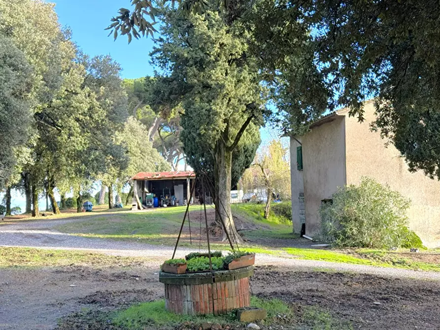 Immagine 5 di Villa in vendita  in VIA PRINCIPE SPADA a Castel Viscardo